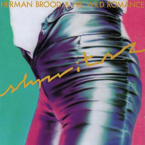 Herman Brood & His Wild Romance
